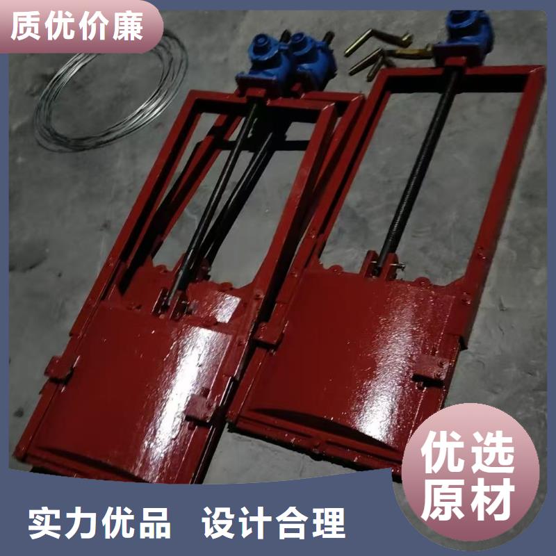 渠道闸门-水道闸门一站式解决方案