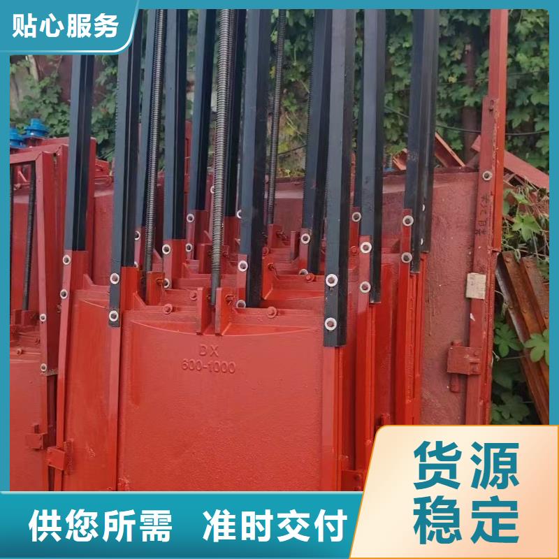 闸门启闭机-铸铁单向止水闸门老品牌