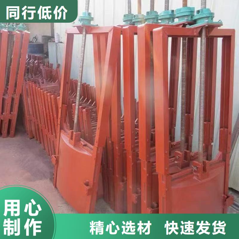 ：2米*2米闸门供货商