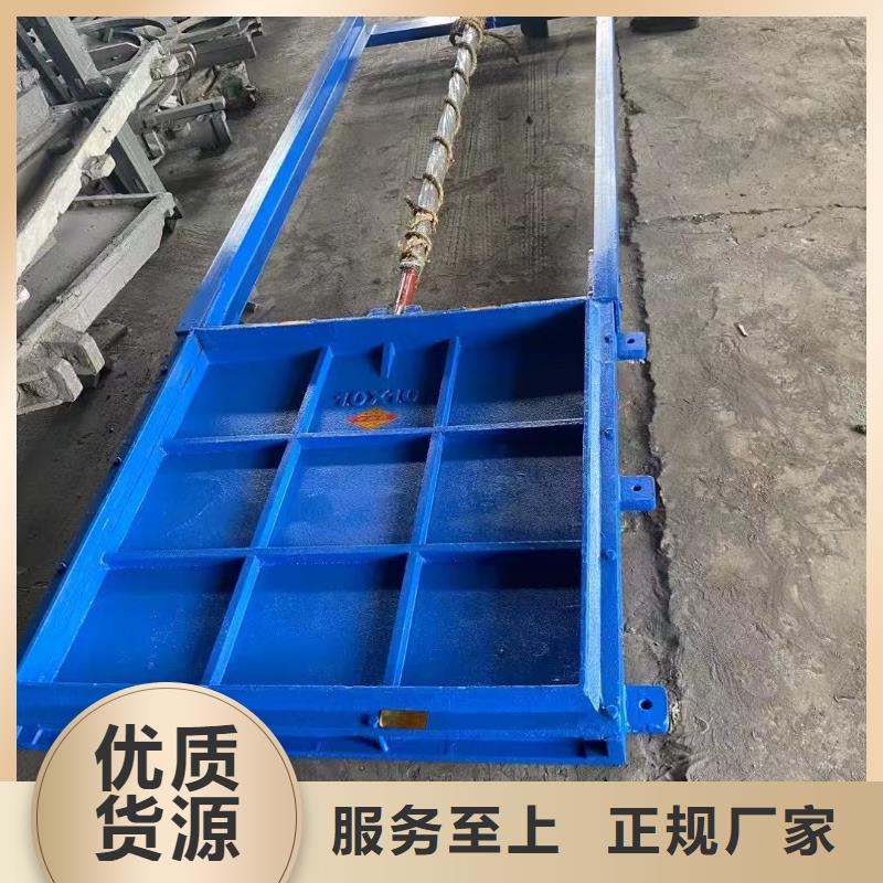 渠道闸门-平面闸门带直联启闭机口碑极佳