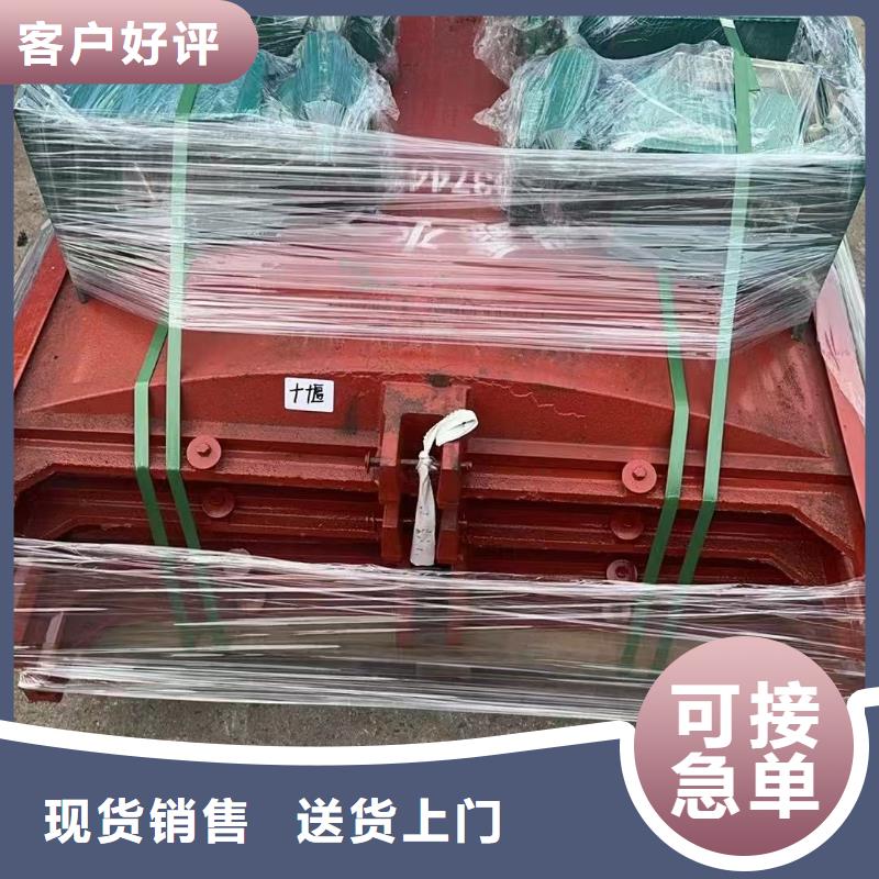 铸铁镶铜闸门-双向铸铁镶铜闸门自动化