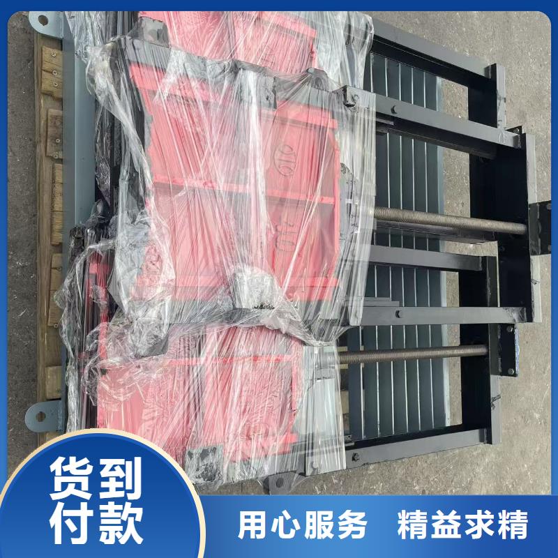 渠道闸门-平板铸铁镶铜闸门耐用可靠