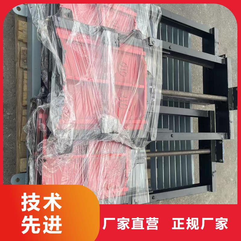 河道铸铁闸门-铸铁镶铜附壁闸门技术领先