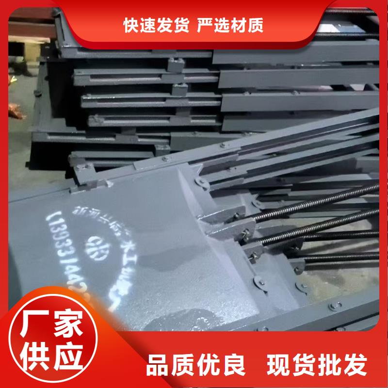 铸铁镶铜闸门-PZ双向止水铸铁镶铜闸门信誉良好