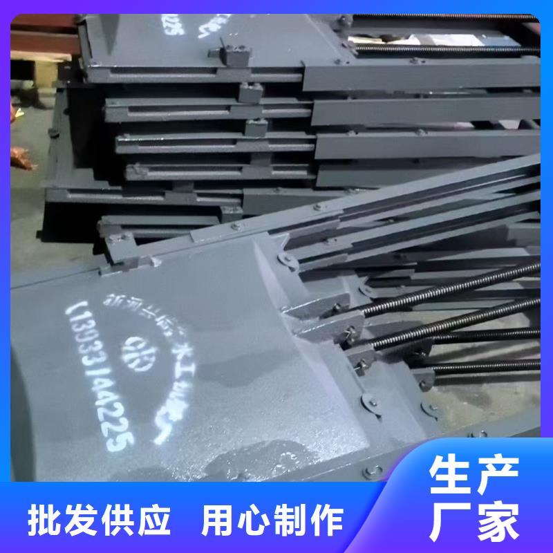 镶铜铸铁闸门-热线开通中