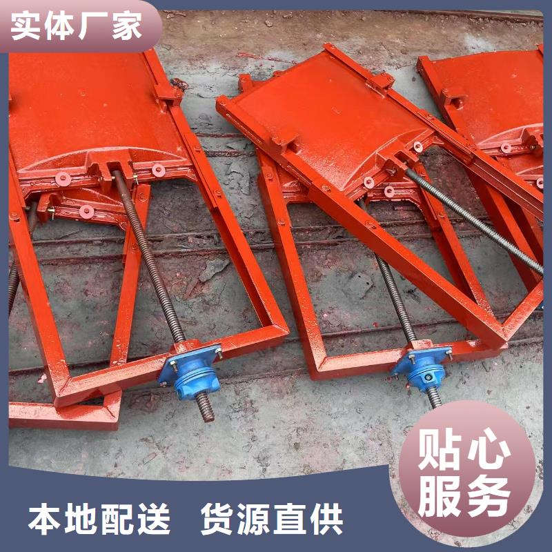 启闭机闸门-PZ平板平面双向止水铸铁闸门智能