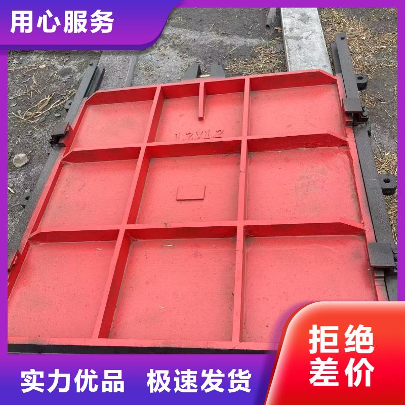 渠道闸门多年老厂家