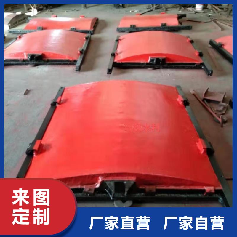 启闭机闸门-铸铁镶铜附壁闸门经验丰富