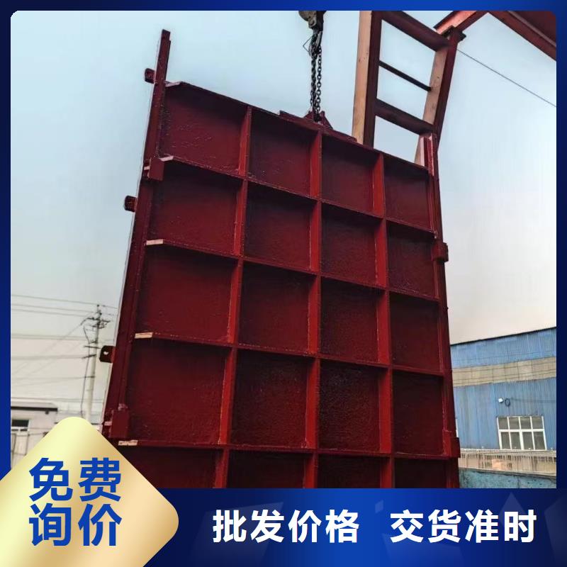 铸铁镶铜闸门-双向铸铁镶铜闸门自动化