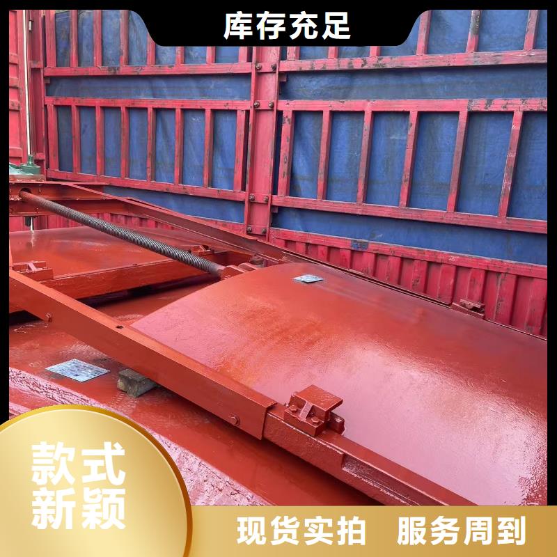 闸门启闭机-启闭机高压铸铁闸门售后无忧