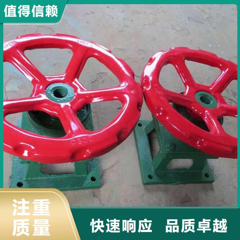 专业销售双吊点直连式启闭机-靠谱