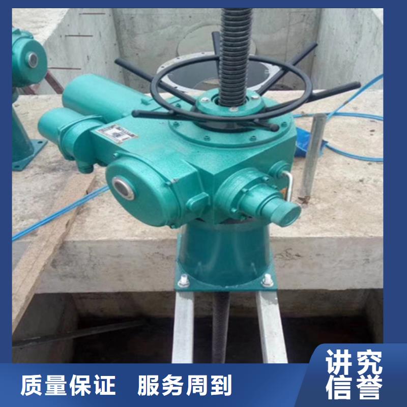 启闭机带遥控螺杆式启闭机耐用可靠