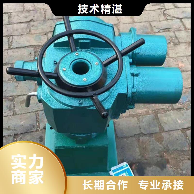 闸门启闭器多年专注