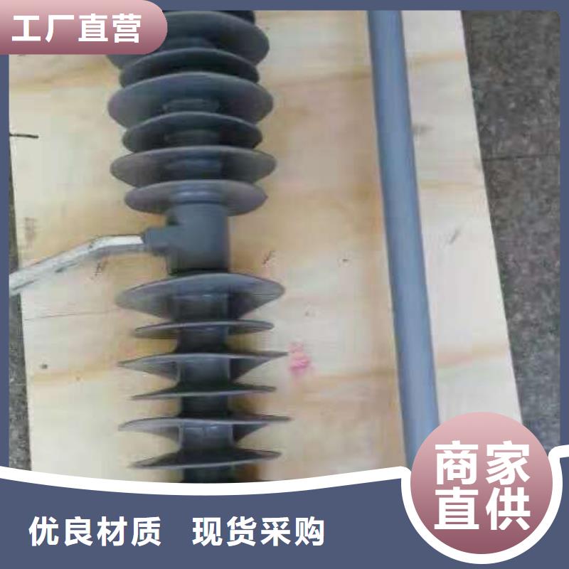 【熔断器金属氧化物避雷器客户满意度高】