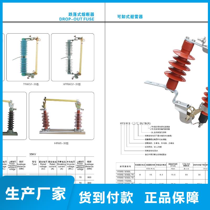 【高压隔离开关绝缘子细节展示】