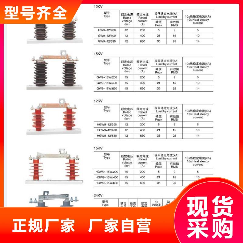 【高压隔离开关】,双电源真空断路器支持大批量采购