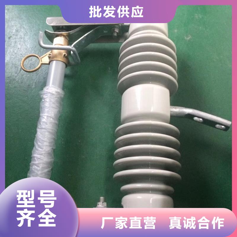 【熔断器金属氧化物避雷器高标准高品质】