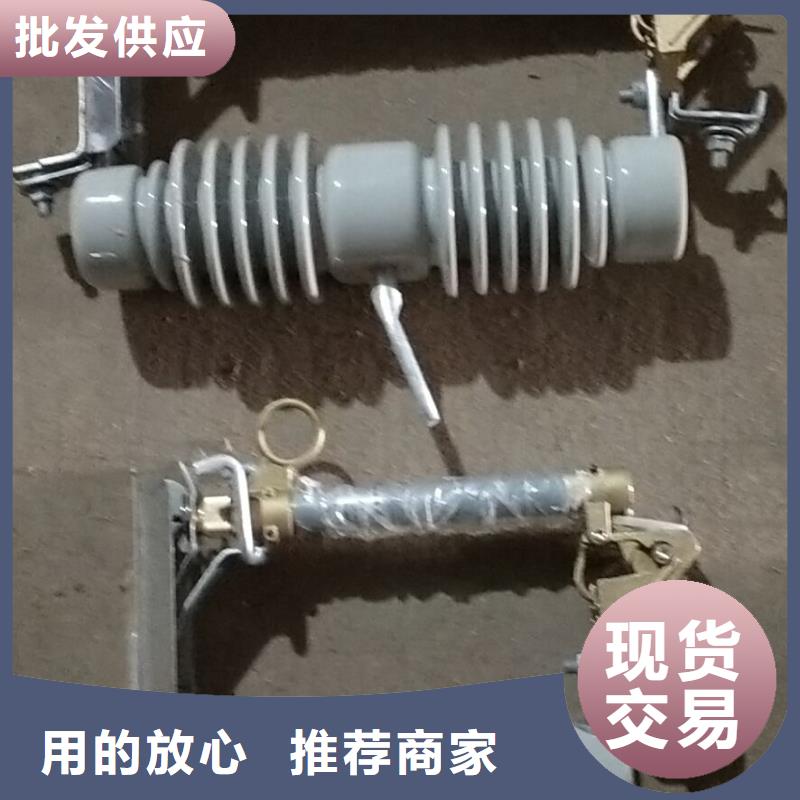 【熔断器_户外绝缘件丰富的行业经验】