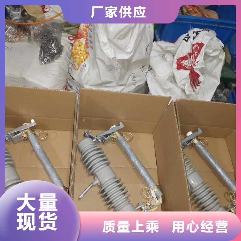 熔断器 白色陶瓷绝缘子种类齐全