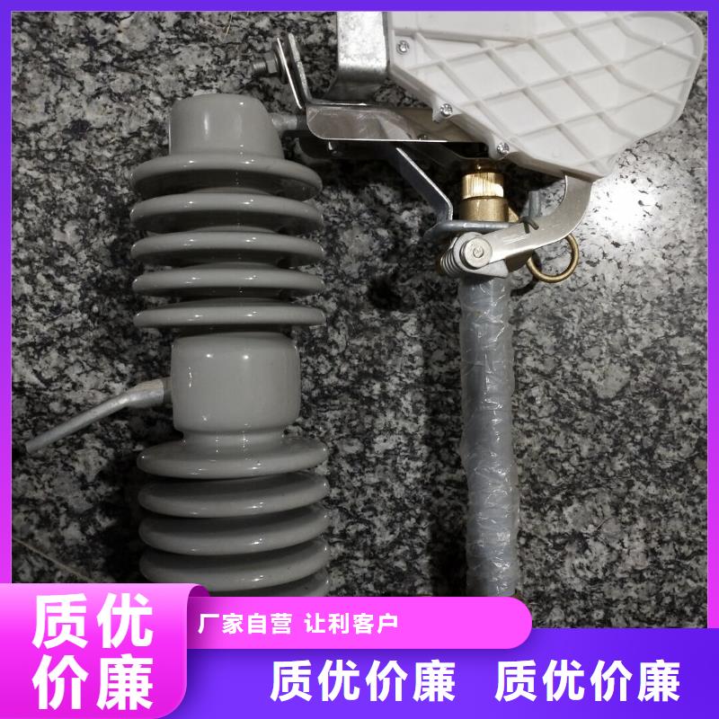 熔断器避雷器工厂采购