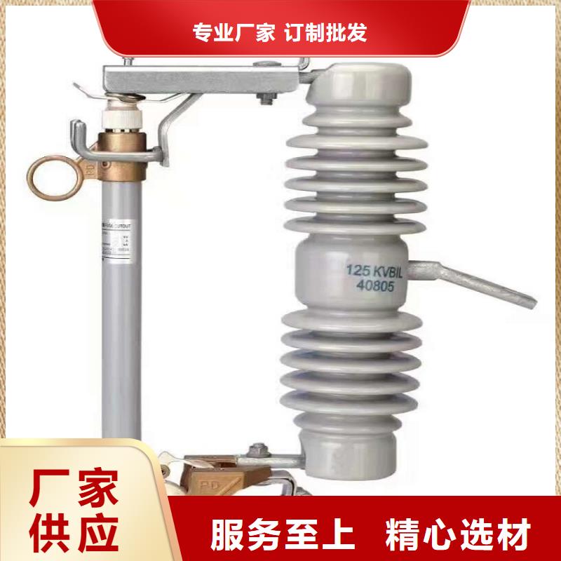 熔断器三相组合式避雷器正规厂家