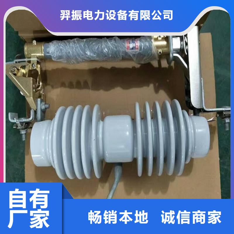 熔断器_金属氧化物避雷器实体诚信经营