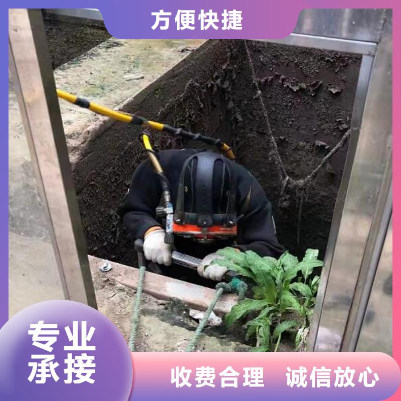 水下_潜水录像拍照实力商家