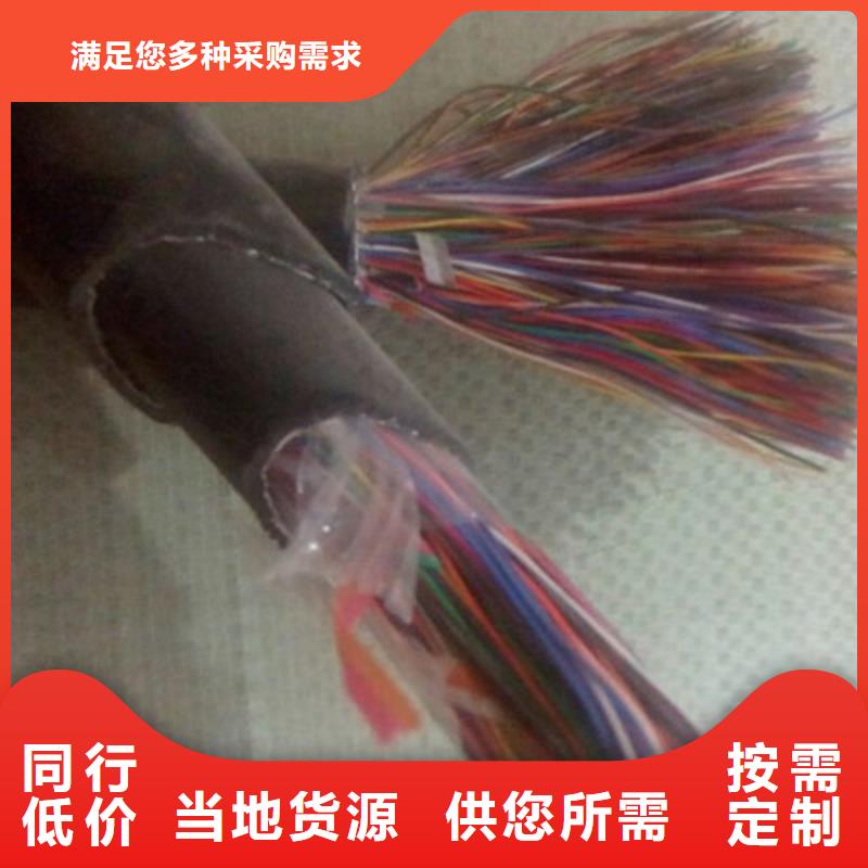 【通信电缆】屏蔽电缆高品质诚信厂家