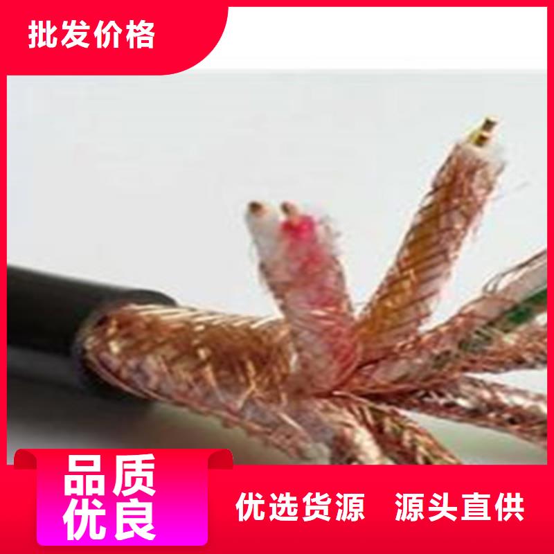 计算机电缆屏蔽电缆专业的生产厂家