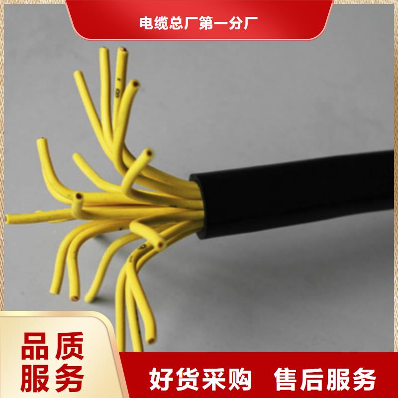 屏蔽电缆视频-屏蔽电缆|抚顺市|新抚|望花|葫芦岛|锦州|沈阳|盘锦|营口|辽阳