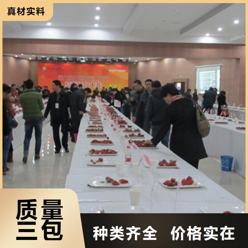 草莓苗_果树苗批发基地经验丰富品质可靠