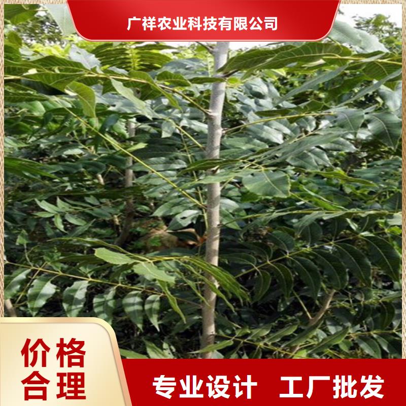 核桃苗草莓多年经验值得信赖