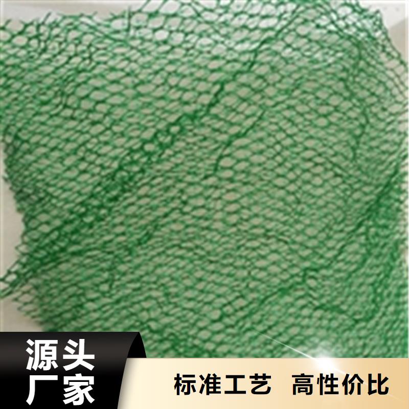 三维植被网防水板现货齐全售后无忧