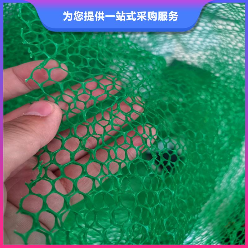 三维植被网,HDPE土工膜拥有核心技术优势