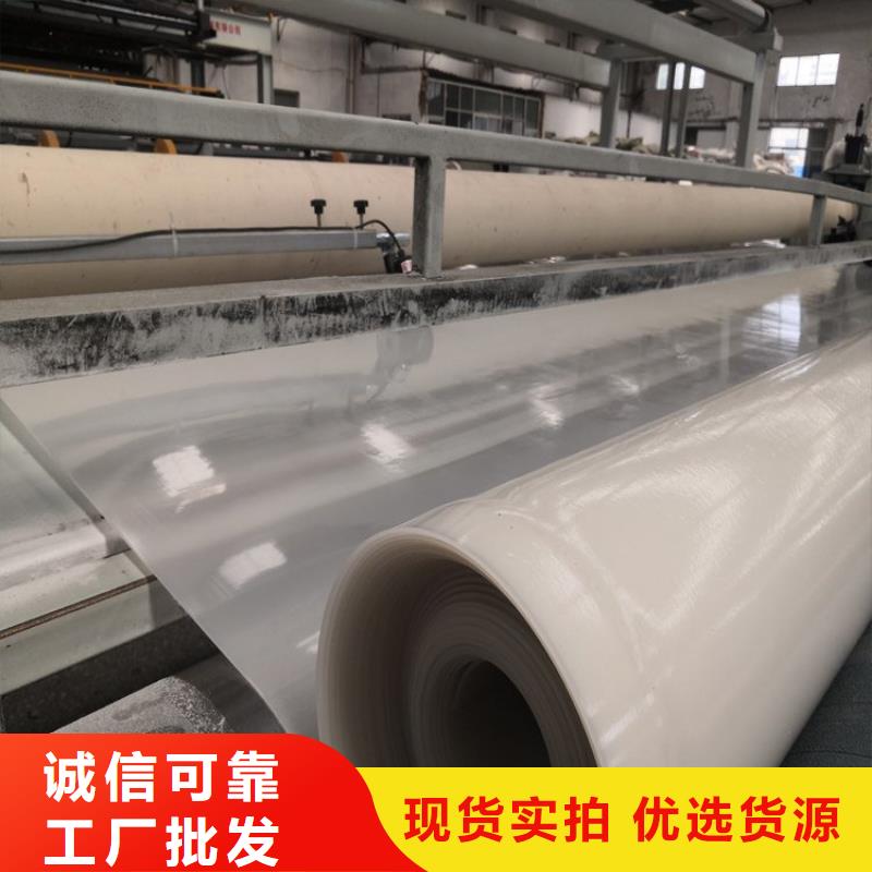 【防水板】【单向塑料土工格栅】产品实拍