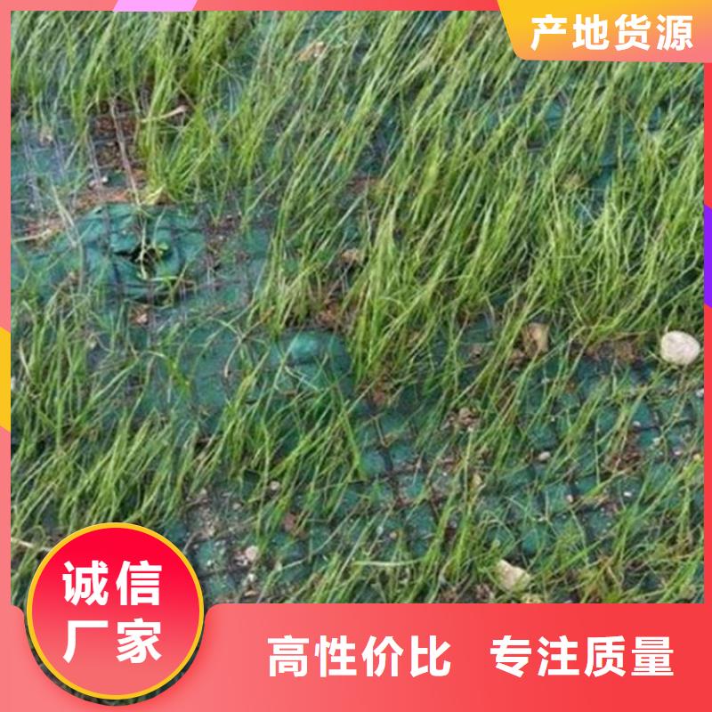 椰丝毯【膨润土防水毯】工厂价格