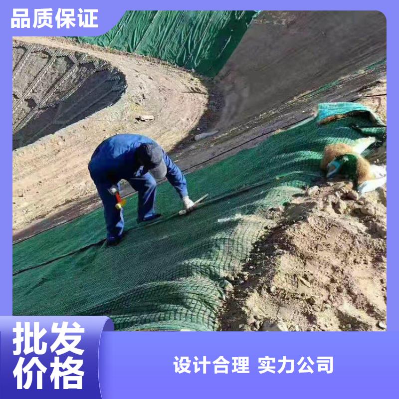 椰丝毯土工布实力才是硬道理