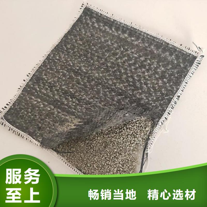 膨润土防水毯【土工膜】生产型