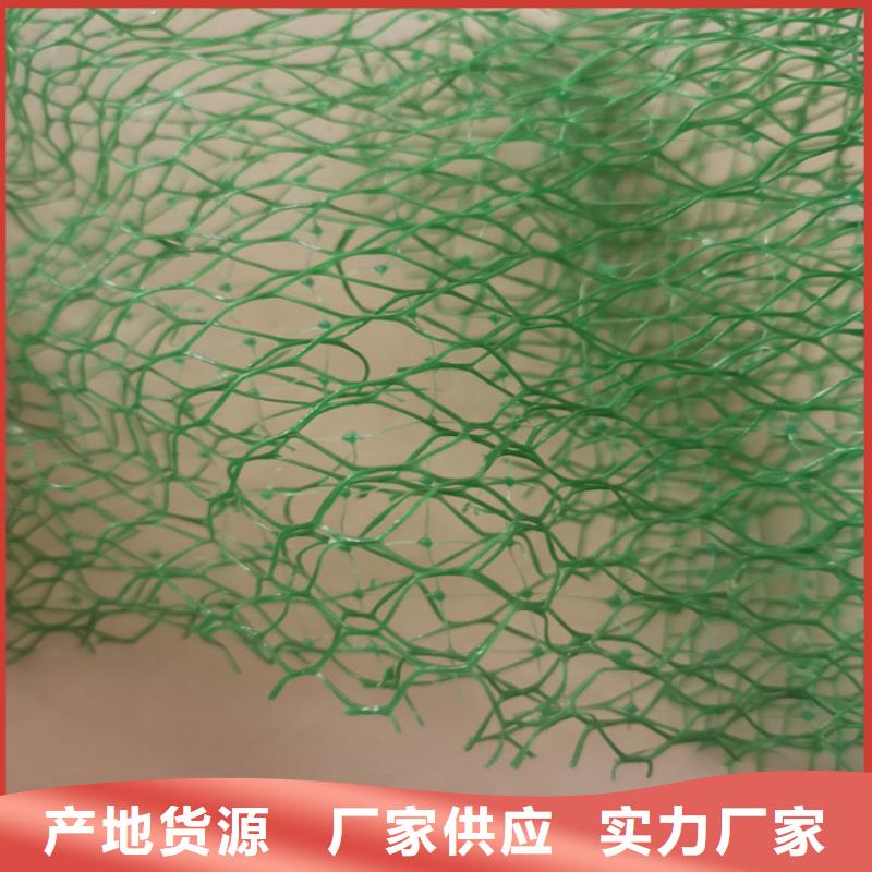 三维植被网-膨润土防水毯为您精心挑选