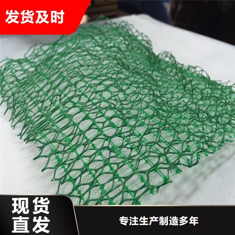 三维植被网车库顶板排水板匠心品质