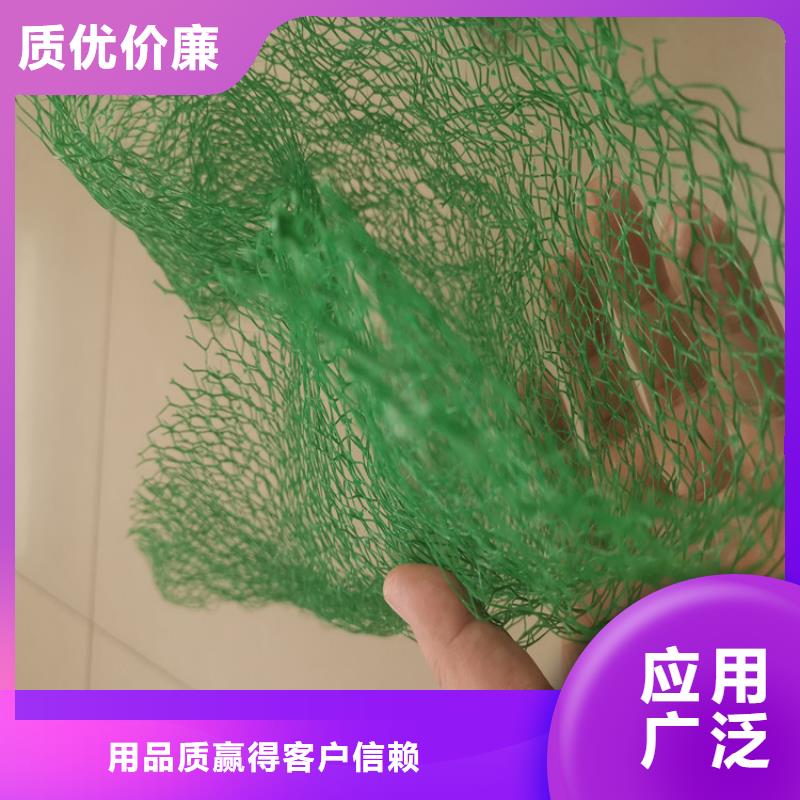 三维植被网防水板优质工艺