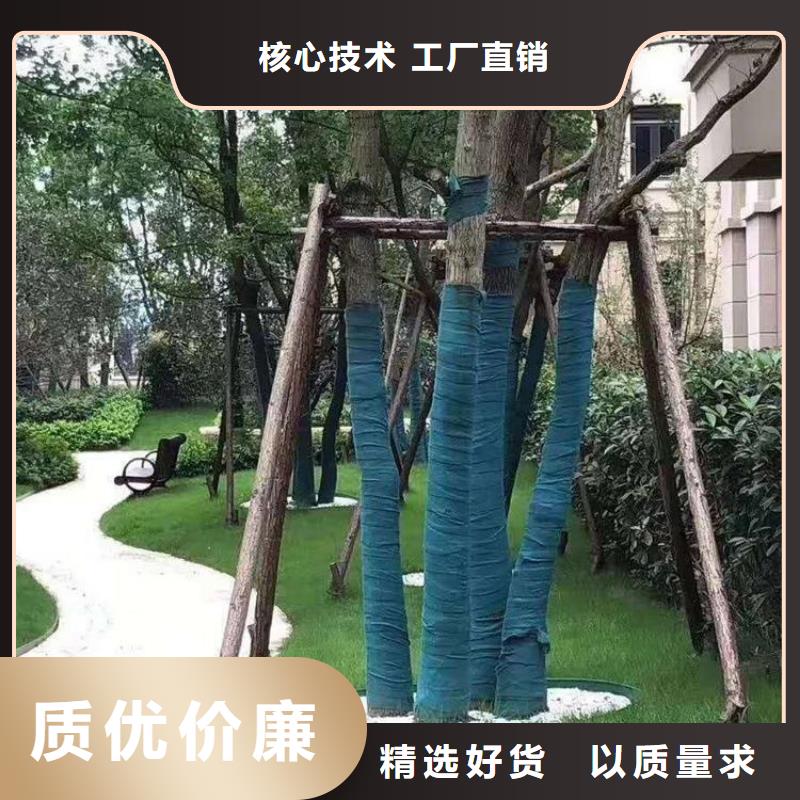 裹树布土工网颜色尺寸款式定制