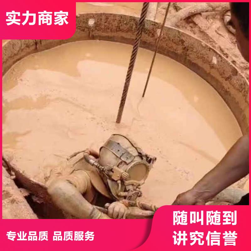 潜水员蛙人水中服务工厂直销浪淘沙水工