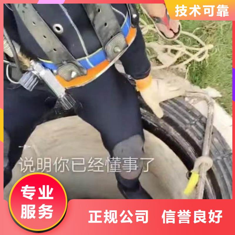 水下作业潜水员服务封堵工程2024公司推荐