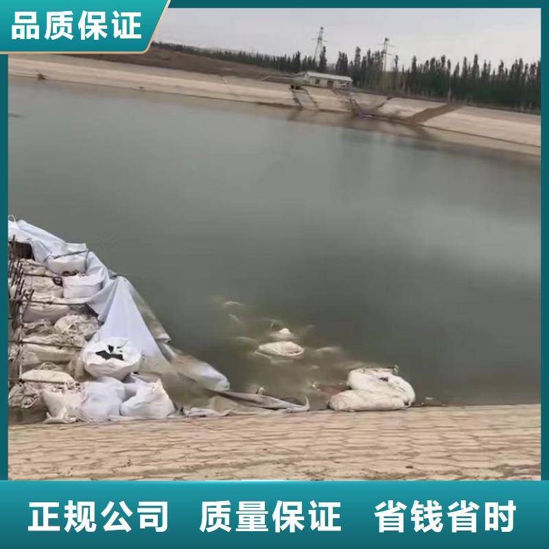 水鬼水中服务采购价格浪淘沙水工