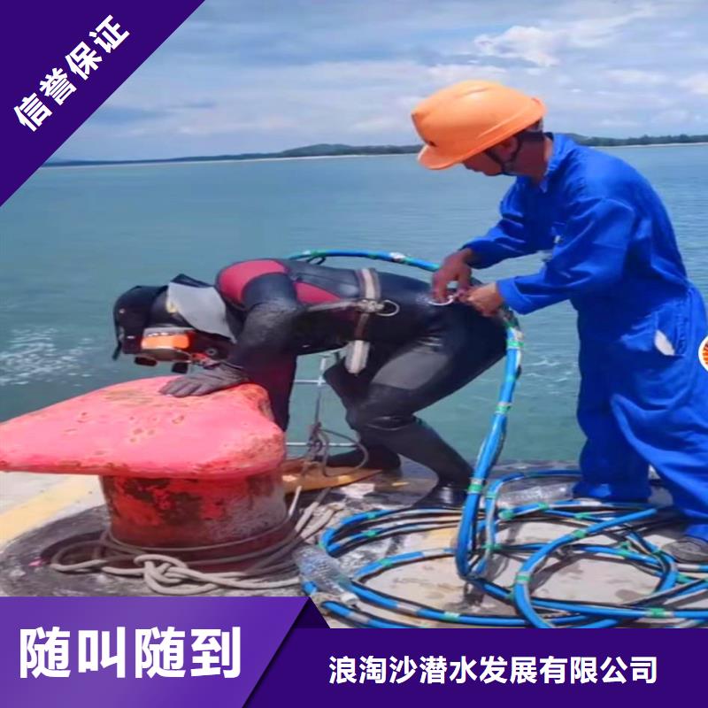 污水厂打捞泵价格浪淘沙水工