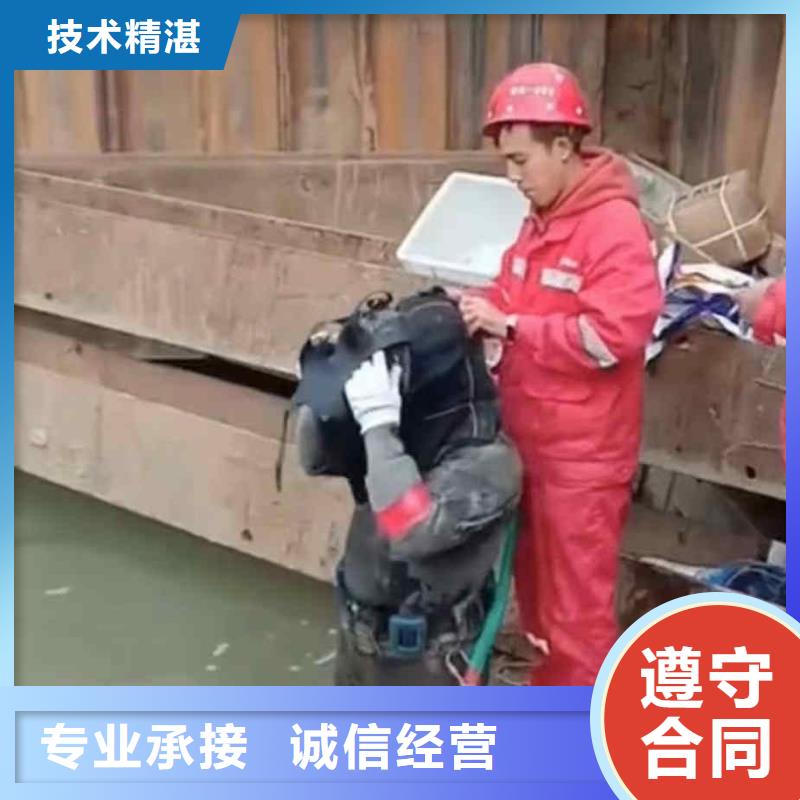 潜水员服务水下摄影2024专业的团队