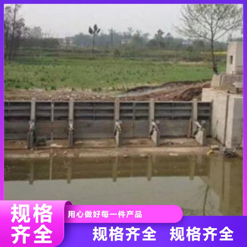 翻板闸门个性化定制