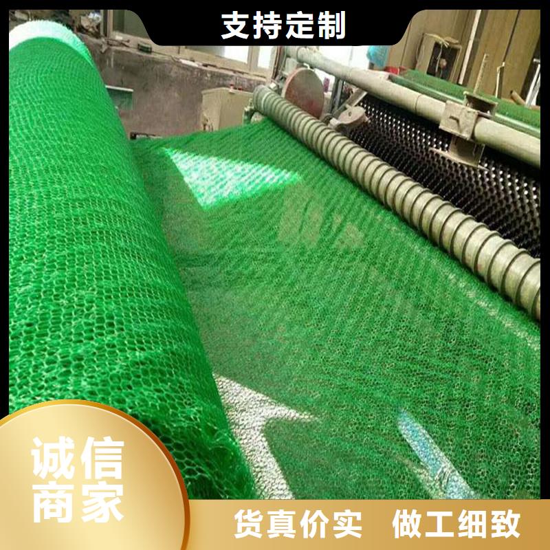 三维植被网紫铜止水片现货交易