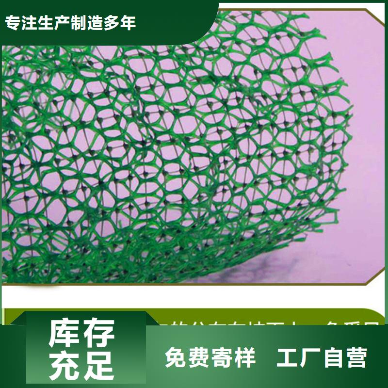 三维植被网-塑料盲管供应商